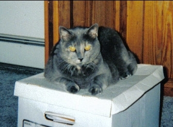 silver's pics 017