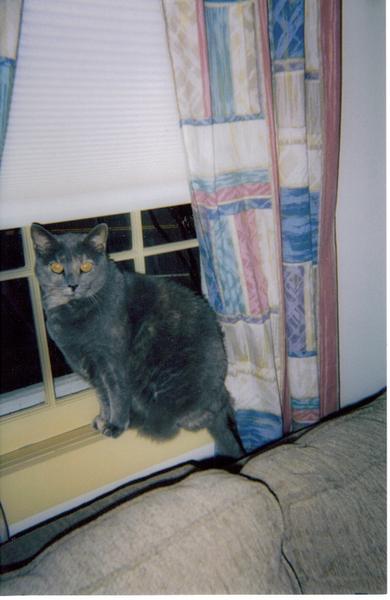 silver's pics 031