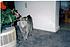 silver's pics 033