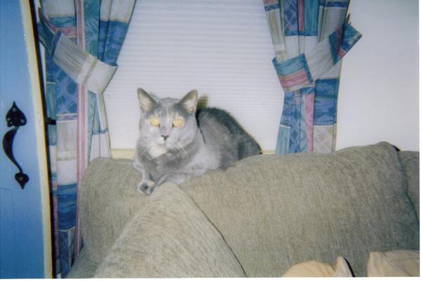 silver's pics 034