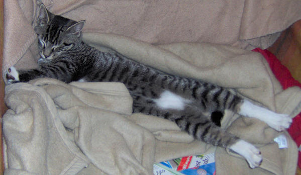 ROZ 1208 REALY RELAXED