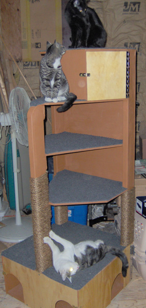 TREE1 1208 DIMETRI, ROZ AND LUCKY (BOTTOM-TOP)