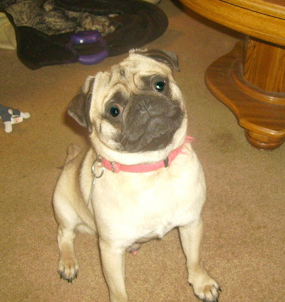 JUKKA,he is my big guy.