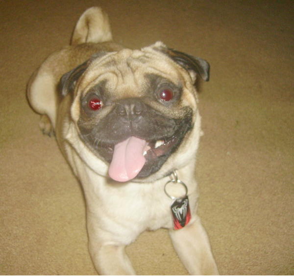 Bam, he alway seem to be smiling like he's up to something