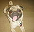 Bam, he alway seem to be smiling like he's up to something