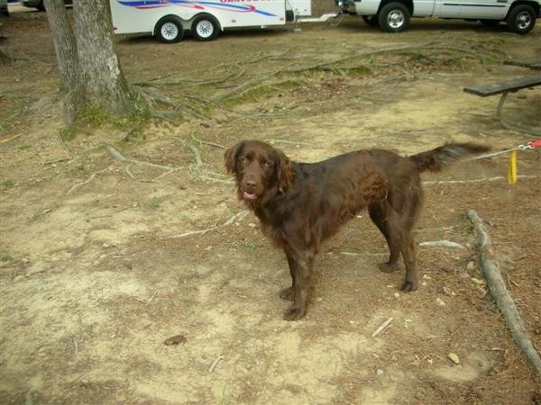 koko at local Mtn bike Race  The "Bump & Grind"
