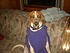 Stylish Buster