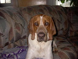 Intense Buster ;)