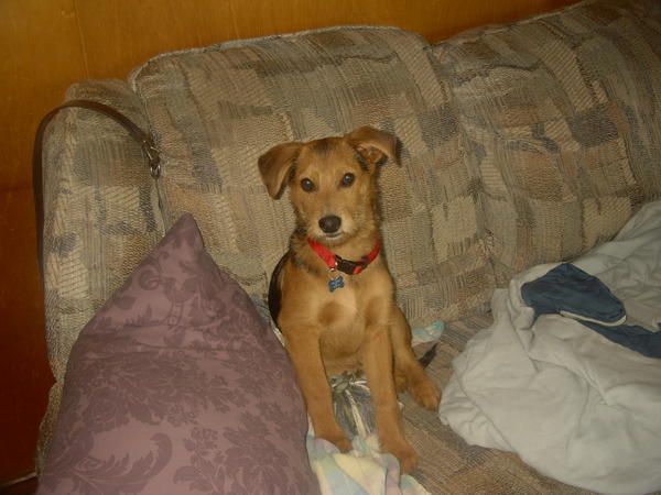 Think he's cute? ;)