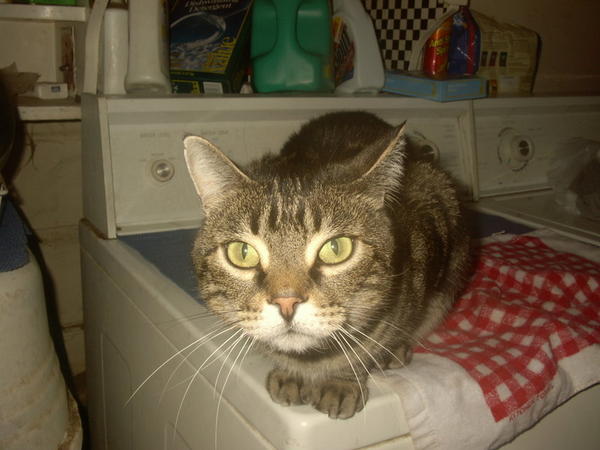Sweet pretty eyed boy :)