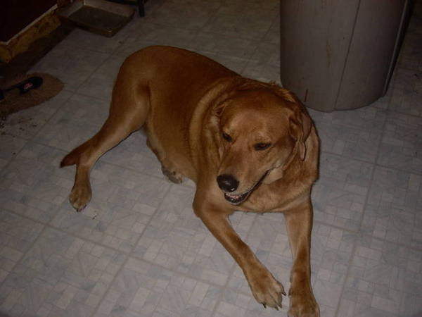 Jenny 2004