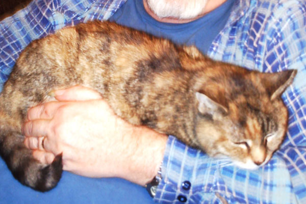 PRETTY GIRL 122908
now PRECIOUS my deaf baby
The snuggler, daddy's girl