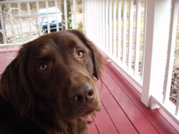 onporch
