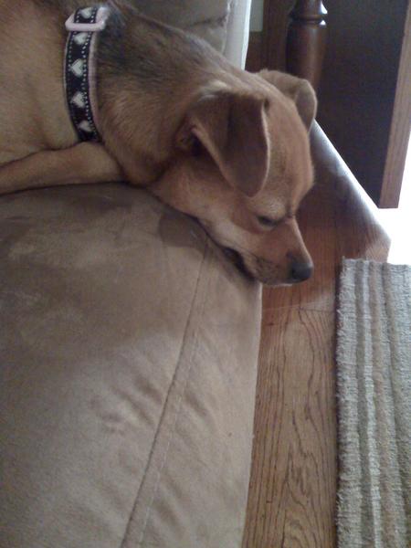 09 20 08 1728 this is zoie