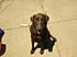 This is maxy million