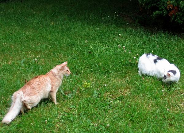 1re rencontre...