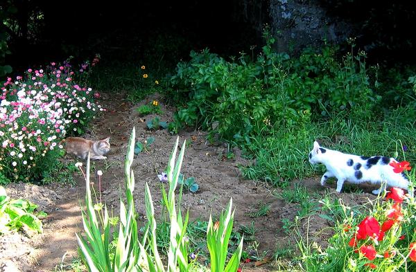 2me rencontre...