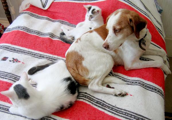 La famille runie!