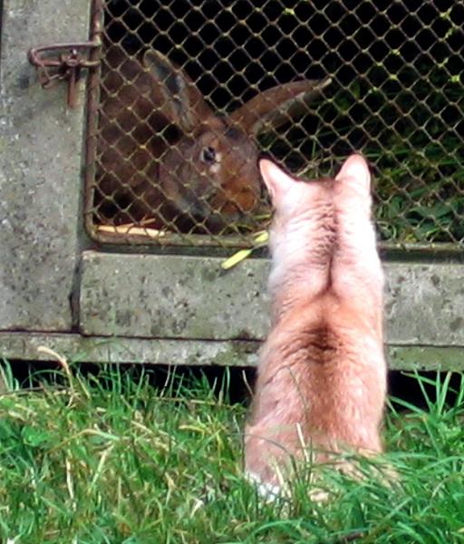 1re rencontre...