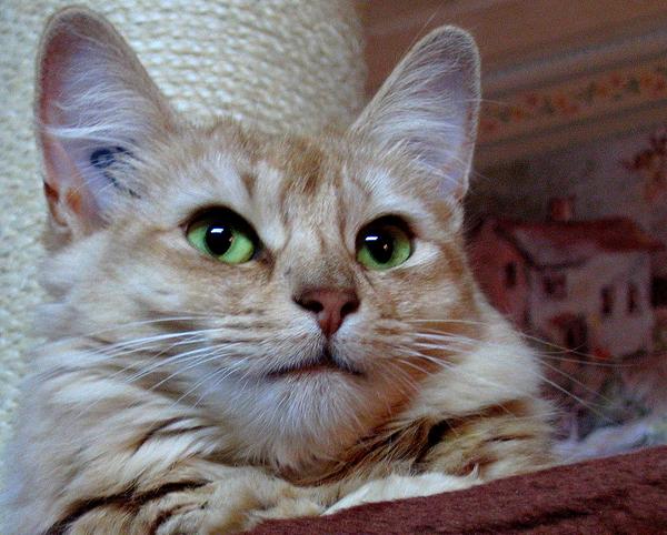 Quelle bouille!!!