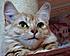 Quelle bouille!!!
