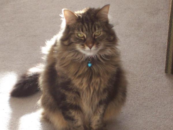 pretty girl
