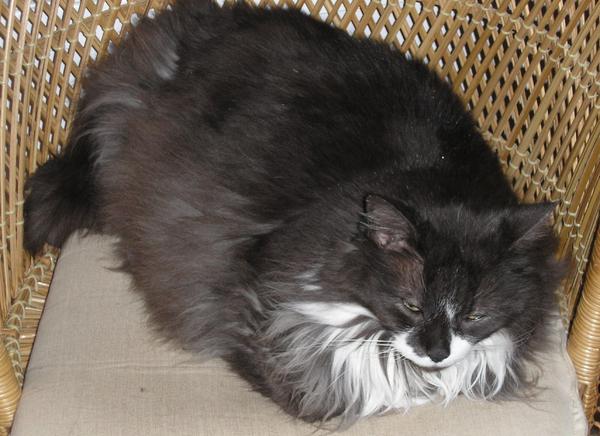 napping