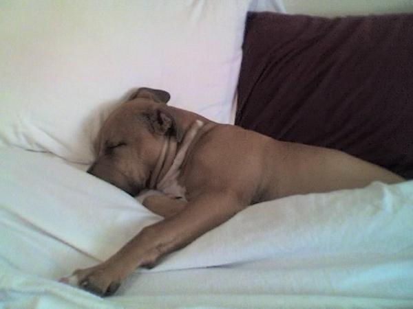 Sin in bed...