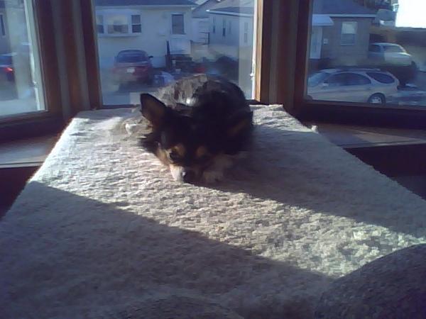 jo in window