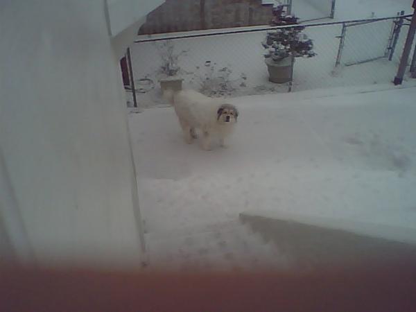 kc and snow