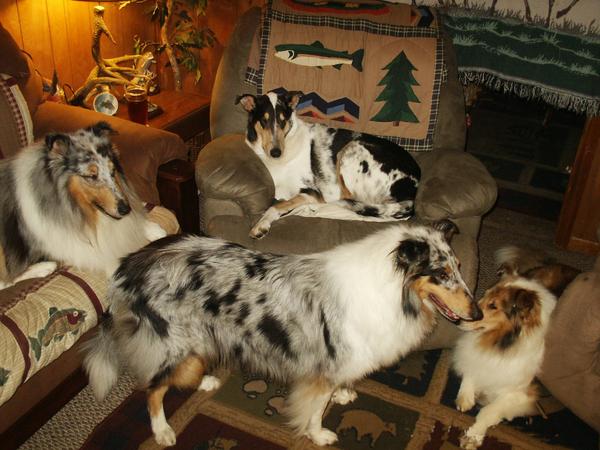 The gang chillin out