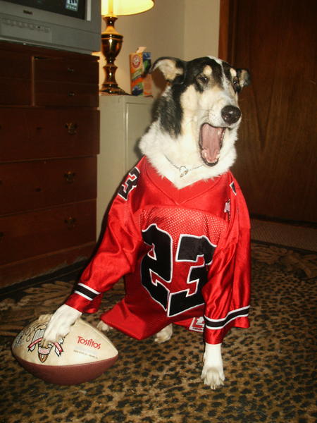 Brutus ready for big game