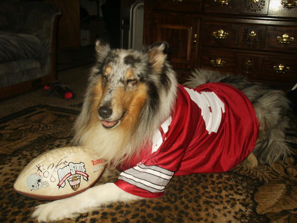 Steele ready for big game