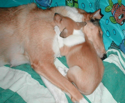 Paris and Blake