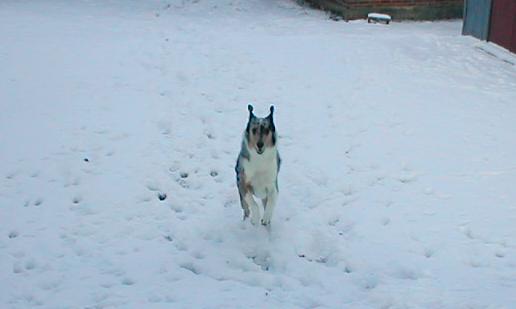 Ben running in the snow