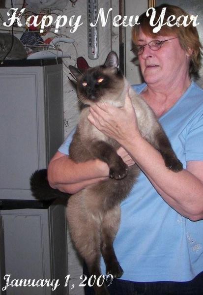 Fat Coda 3
