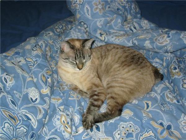 Heidi on the bed