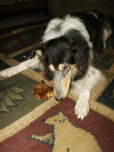 Jazzy 07  healing from Demodex