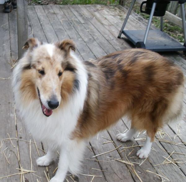 Honey 07  Pretty girl