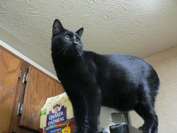 Handsome boy