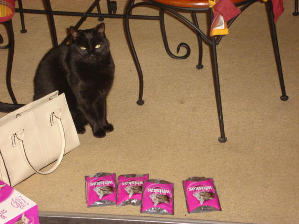 Beano choosing his dinner