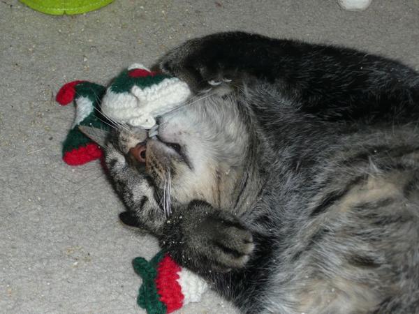 074 BobXmasMousies