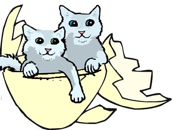 Eggstraordinary Cats