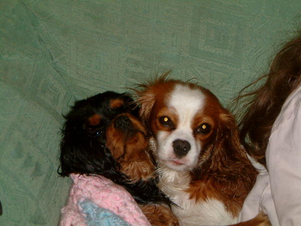 Buddy and Emily