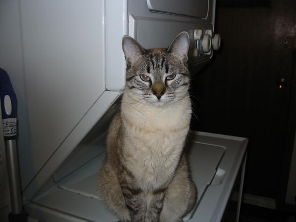 Heidi on the washer