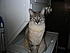 Heidi on the washer
