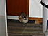 Heidi at the door