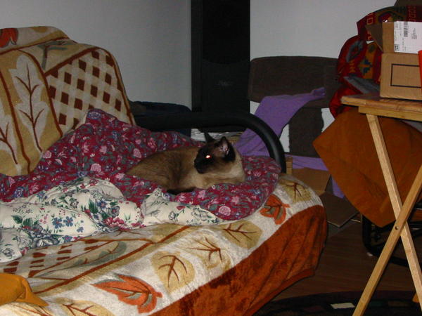 Heidi made noise in the kitchen.