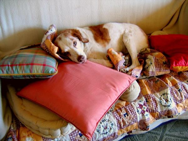 "Comme on fai son lit on se couche"!