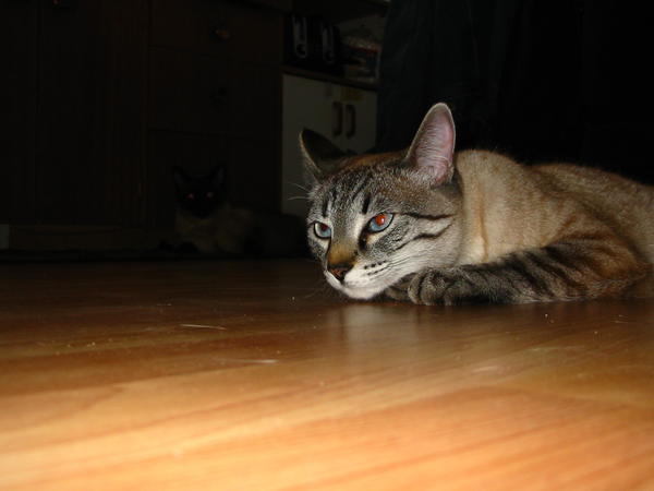IMG 0738